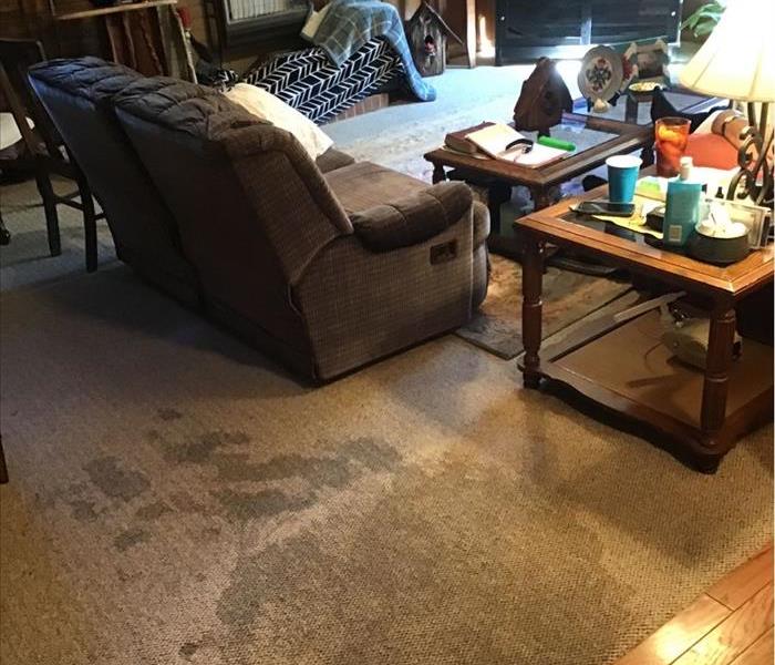 Water soaked rug in customer's living room 