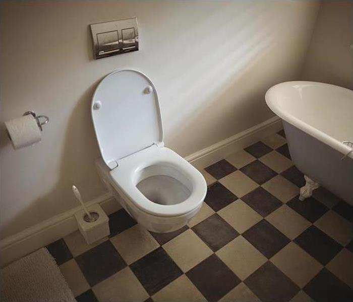 Overhead view of a toilet on a black and white checked floor.