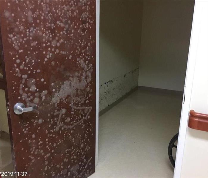 Door and room with mold growing