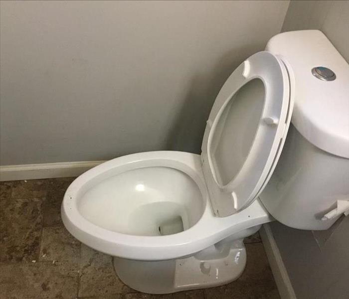 Toilet with standing water 